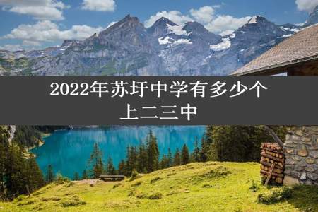 2022年苏圩中学有多少个上二三中