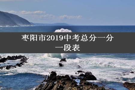 枣阳市2019中考总分一分一段表