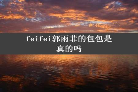 feifei郭雨菲的包包是真的吗