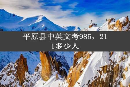 平原县中英文考985，211多少人