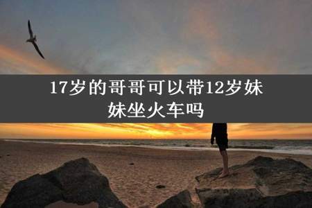 17岁的哥哥可以带12岁妹妹坐火车吗