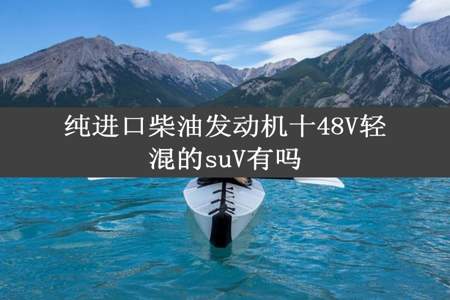 纯进口柴油发动机十48V轻混的suV有吗