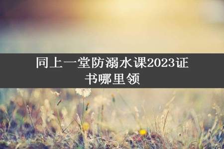 同上一堂防溺水课2023证书哪里领