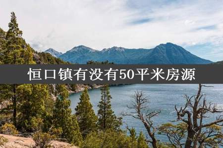 恒口镇有没有50平米房源