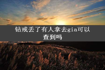 钻戒丢了有人拿去gia可以查到吗