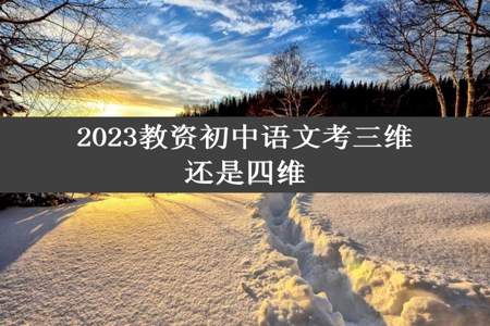 2023教资初中语文考三维还是四维