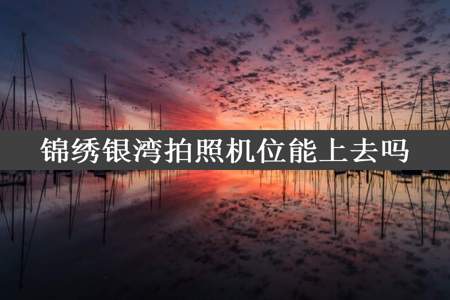 锦绣银湾拍照机位能上去吗