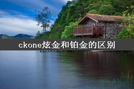 ckone炫金和铂金的区别