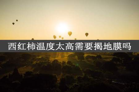 西红柿温度太高需要揭地膜吗