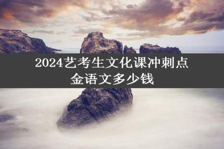 2024艺考生文化课冲刺点金语文多少钱