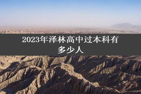 2023年泽林高中过本科有多少人