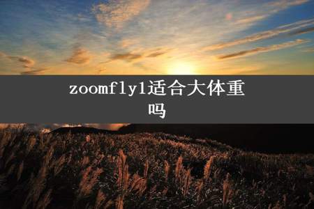 zoomfly1适合大体重吗