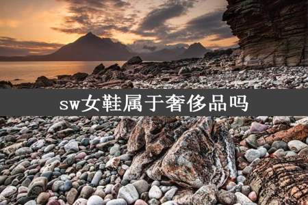 sw女鞋属于奢侈品吗