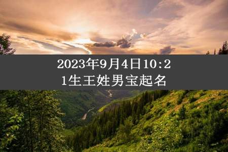 2023年9月4日10:21生王姓男宝起名