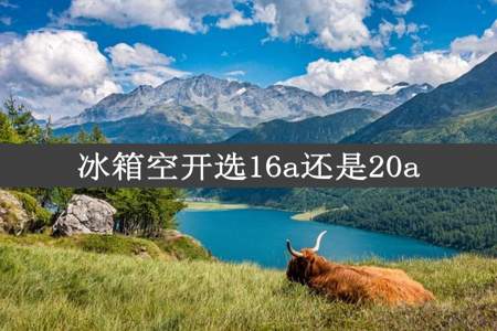 冰箱空开选16a还是20a