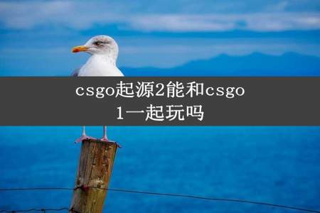 csgo起源2能和csgo1一起玩吗