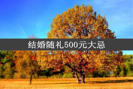 结婚随礼500元大忌