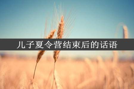 儿子夏令营结束后的话语