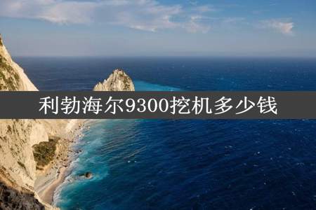 利勃海尔9300挖机多少钱