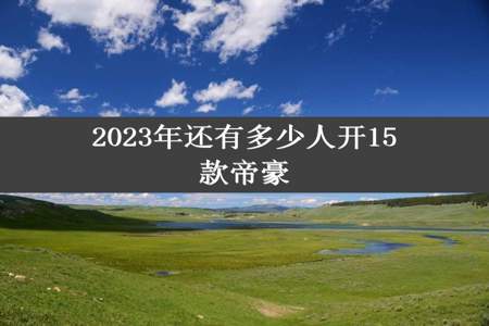 2023年还有多少人开15款帝豪