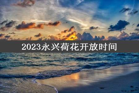 2023永兴荷花开放时间