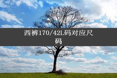 西裤170/42L码对应尺码