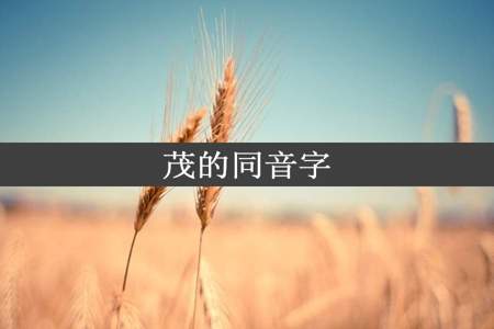 茂的同音字