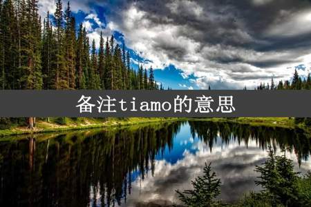 备注tiamo的意思