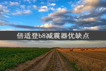 倍适登b8减震器优缺点