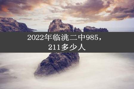 2O22年临洮二中985，211多少人