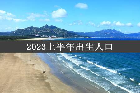 2023上半年出生人口