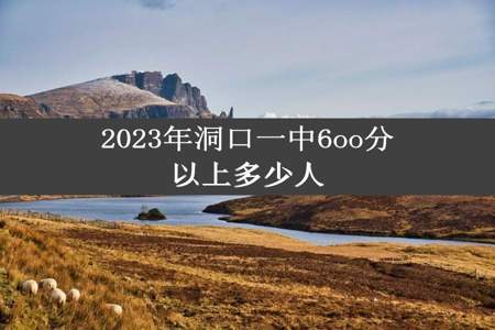 2023年洞口一中6oo分以上多少人