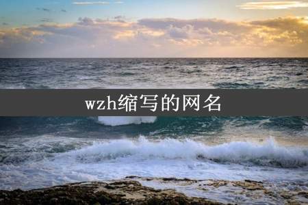 wzh缩写的网名