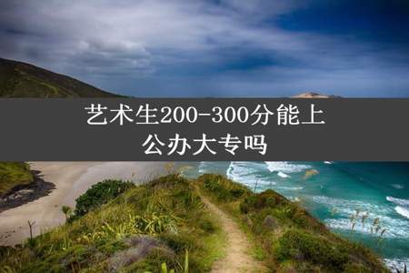 艺术生200-300分能上公办大专吗