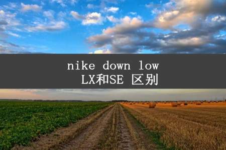 nike down low  LX和SE 区别