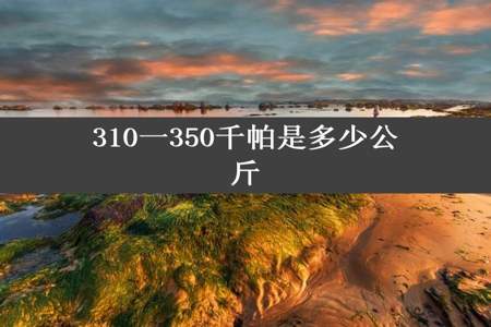 310一350千帕是多少公斤