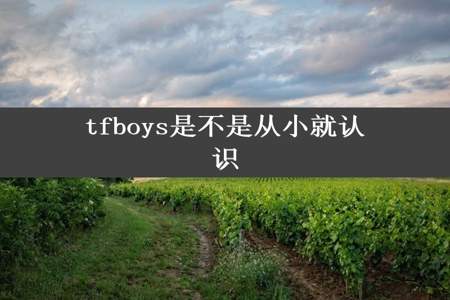 tfboys是不是从小就认识