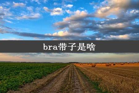 bra带子是啥