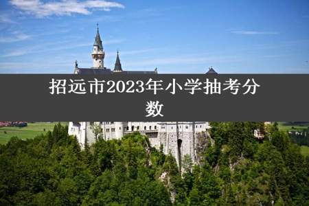 招远市2023年小学抽考分数