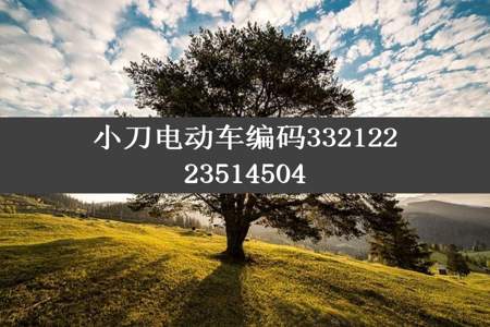 小刀电动车编码33212223514504