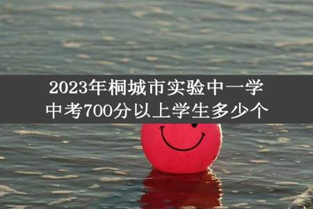 2023年桐城市实验中一学中考7OO分以上学生多少个