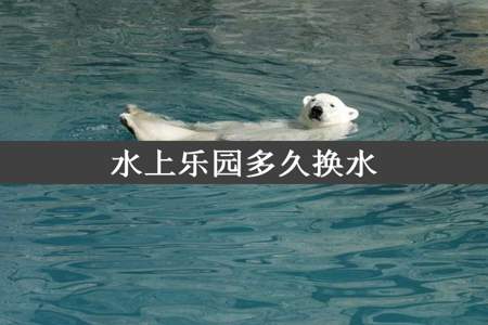 水上乐园多久换水