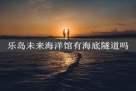 乐岛未来海洋馆有海底隧道吗