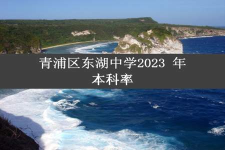 青浦区东湖中学2023 年本科率