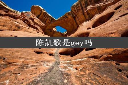 陈凯歌是gey吗