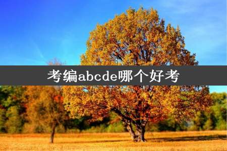 考编abcde哪个好考