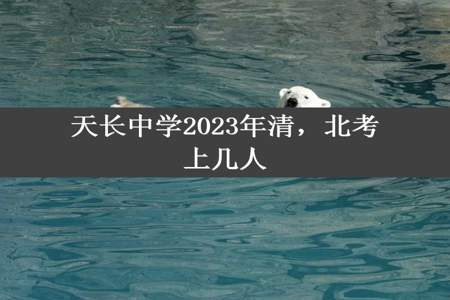 天长中学2023年清，北考上几人