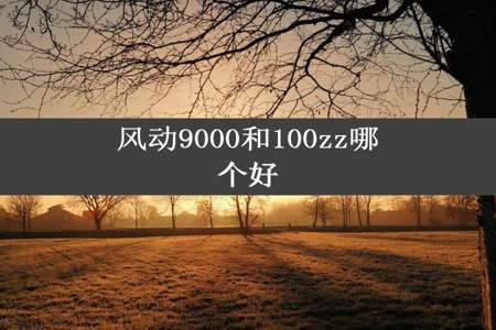 风动9000和100zz哪个好