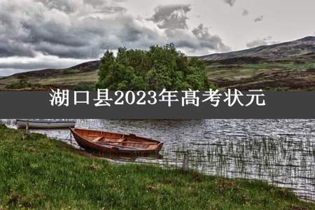 湖口县2023年髙考状元
