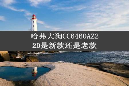 哈弗大狗CC6460AZ22D是新款还是老款